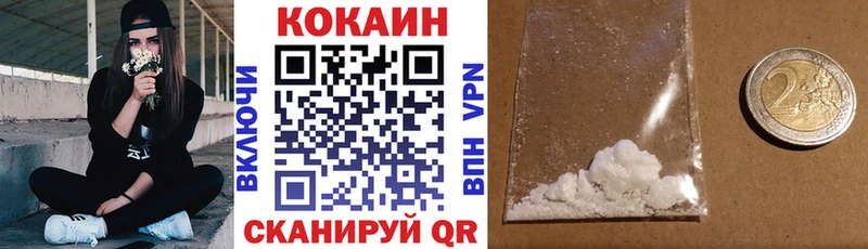 mega как зайти  где можно купить наркотик  Новохопёрск  Cocaine Эквадор 